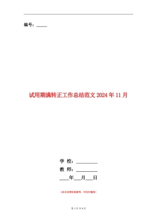 试用期满转正工作总结范文2024年11月