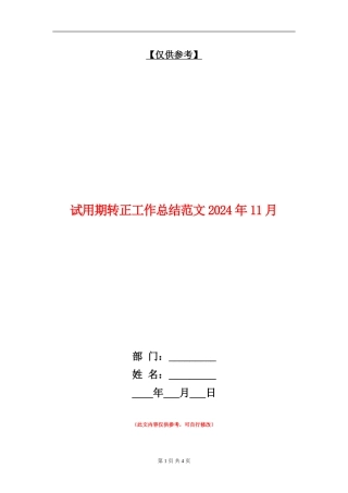 试用期转正工作总结018年11月