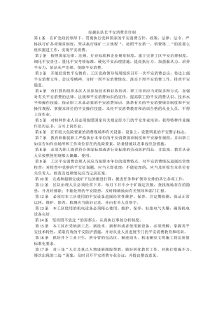 综掘队ۥ队长安全生产责任制精选 