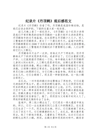 纪录片《丹顶鹤》观后感范文