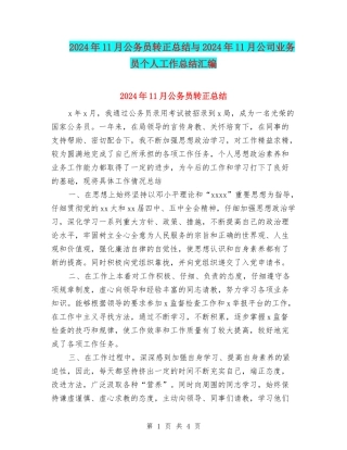2024年11月公务员转正总结与2024年11月公司业务员个人工作总结汇编