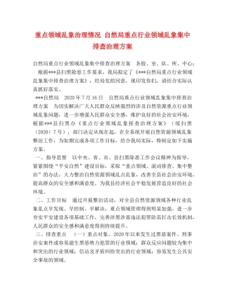 重点领域乱象治理情况 自然局重点行业领域乱象集中排查治理方案 