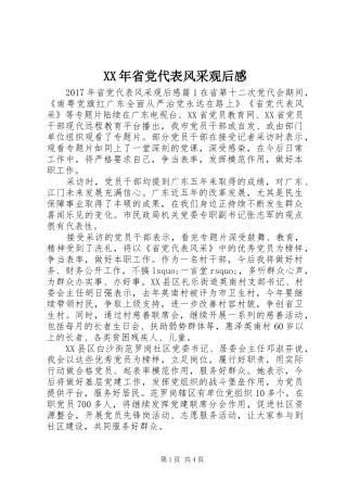 XX年省党代表风采观后感
