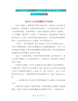 2024年12月试用期转正工作总结与2024年12月财务个人工作总结汇编