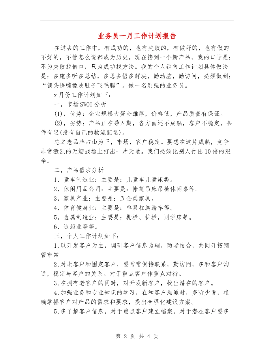 业务员一月工作计划报告_第2页