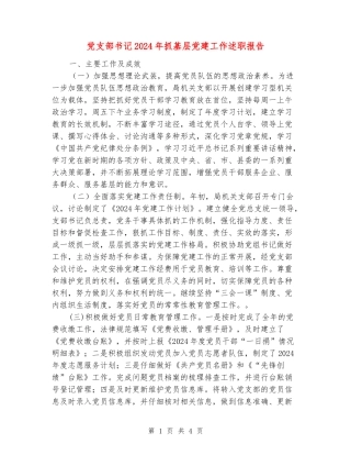 党支部书记2024年抓基层党建工作述职报告