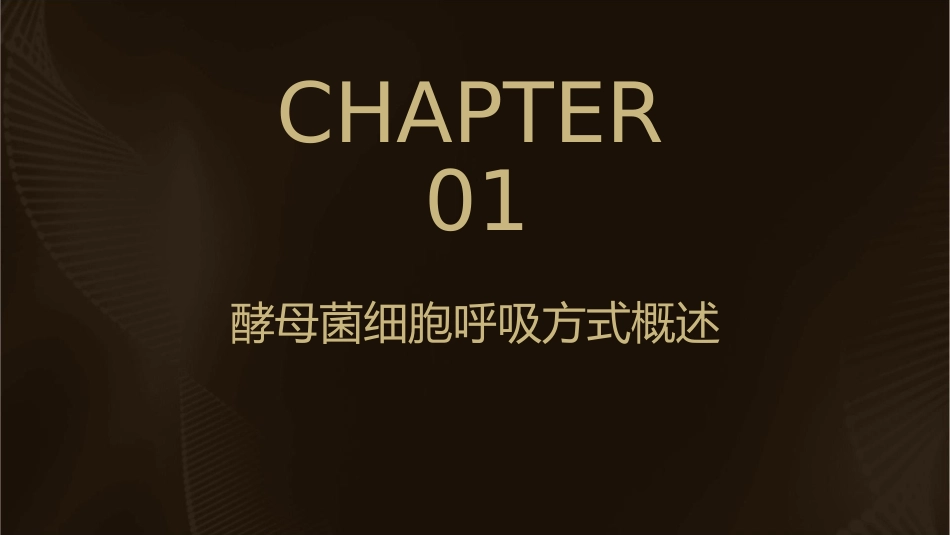 细胞呼吸之酵母菌细胞呼吸方式课件_第3页