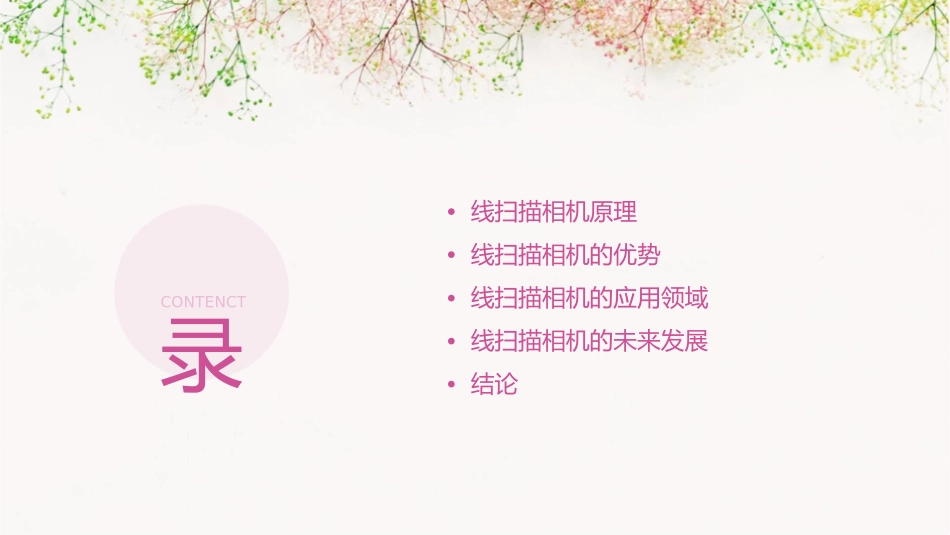 线扫描相机的原理及其优势课件_第2页