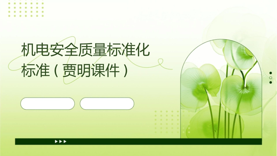 机电安全质量标准化标准(贾明课件_第1页