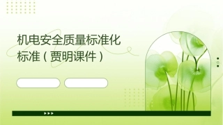 机电安全质量标准化标准(贾明课件