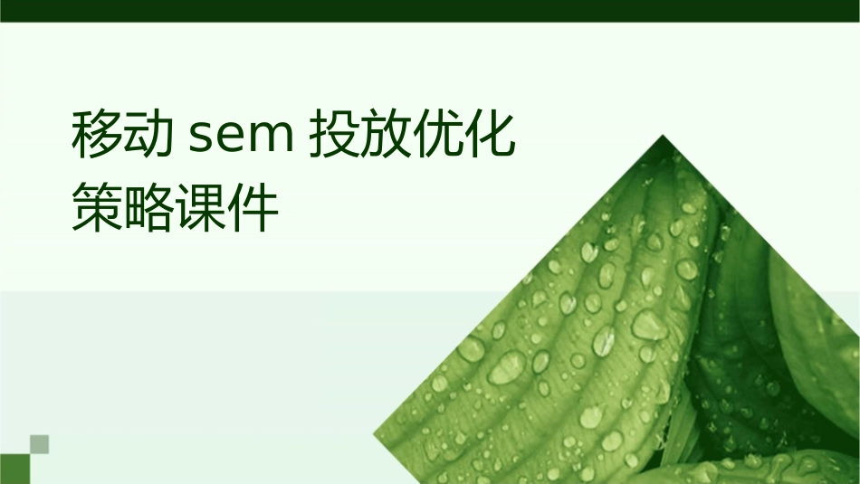 移动SEM投放优化策略课件_第1页