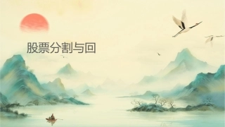 股票分割与回购课件