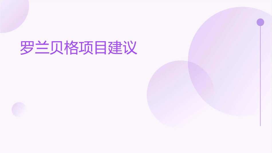 罗兰贝格项目建议课件_第1页