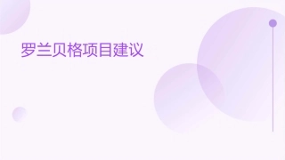罗兰贝格项目建议课件