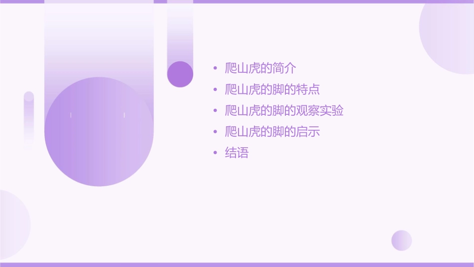 爬山虎的脚公开课精致课件_第2页