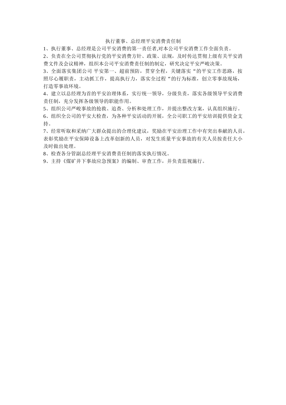 执行董ۥ事、总经理安全生产责任制精选 _第1页