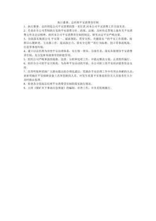 执行董ۥ事、总经理安全生产责任制精选 