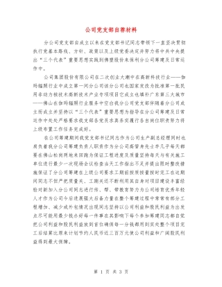 公司党支部自荐材料