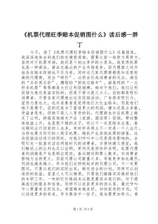 《机票代理旺季赔本促销图什么》读后感—胖丁