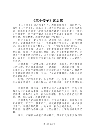 《三个傻子》读后感