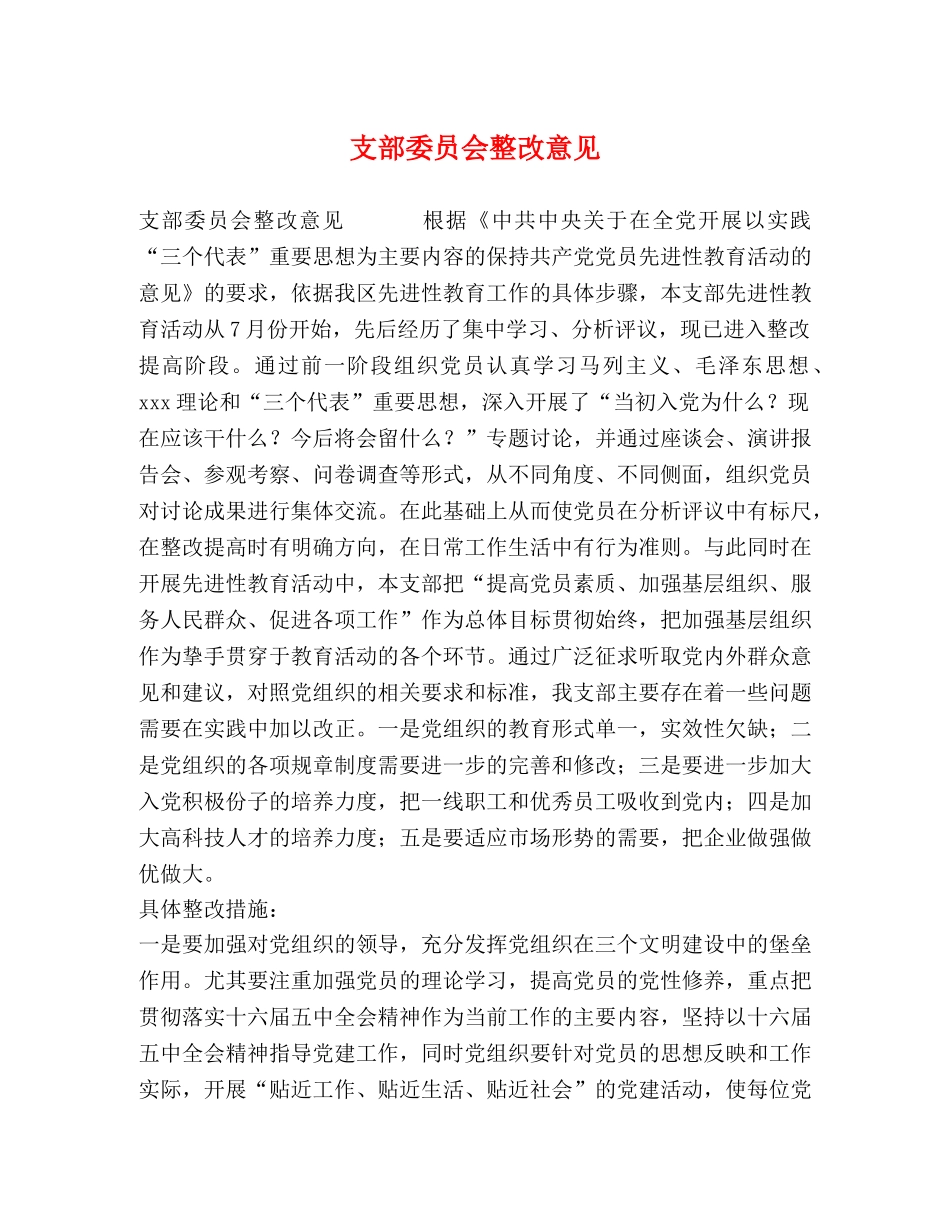 支部委员会整改意见 _第1页