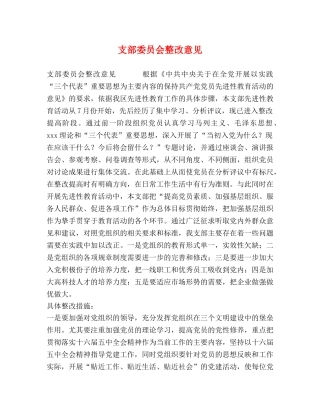 支部委员会整改意见 