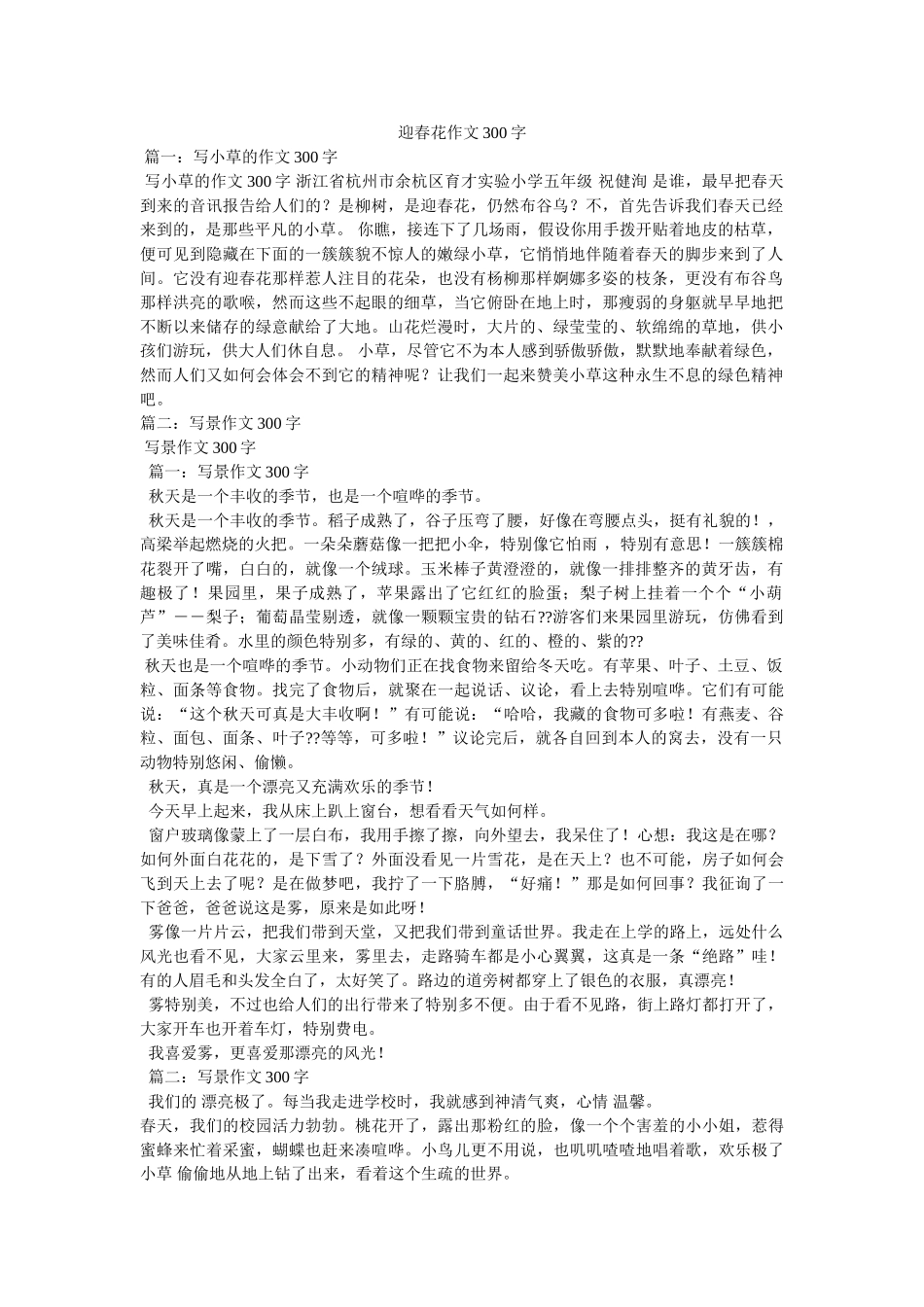 迎春花ۥ作文300字精选 _第1页