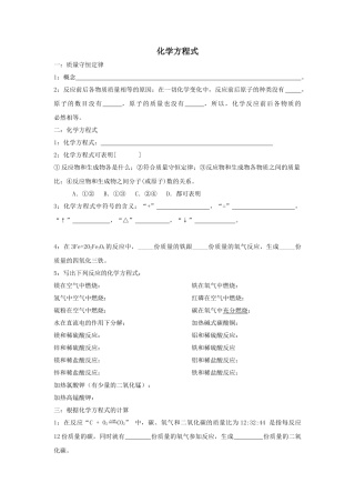 中考化学专题训练化学方程式 