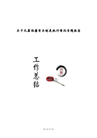 关于反腐倡廉有关制度执行情况专题报告