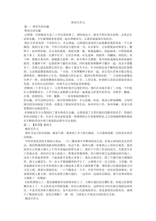 种花生ۥ作文精选 