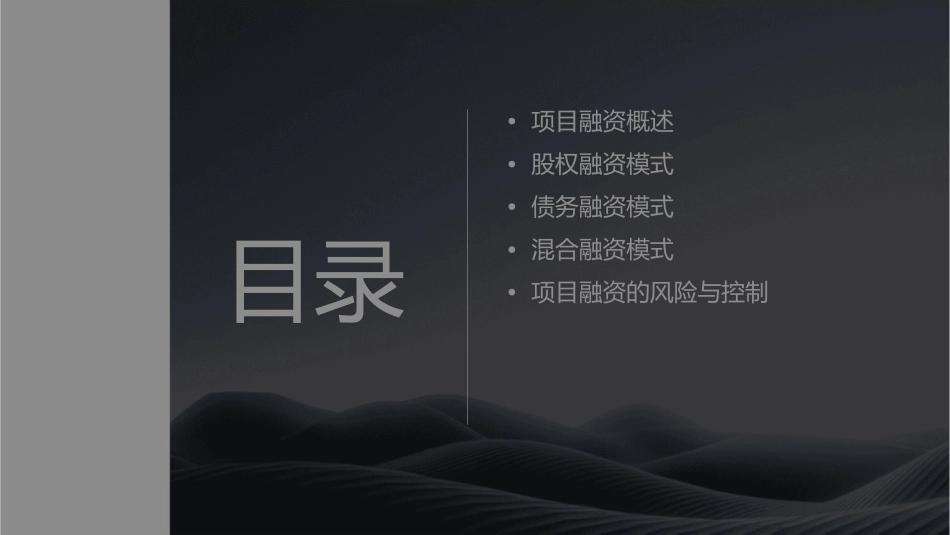 项目融资模式课件_第2页