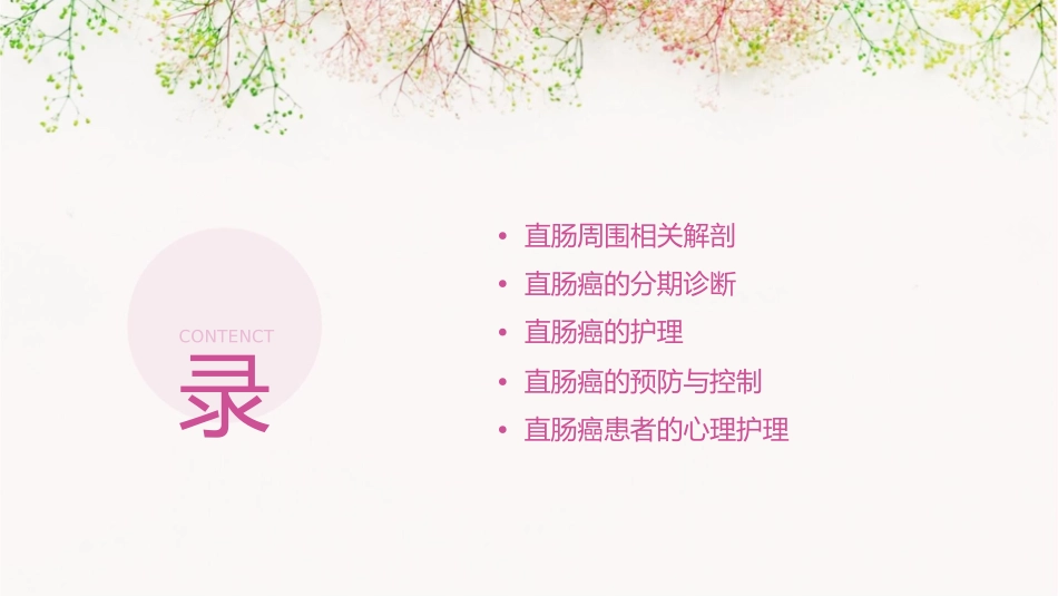 直肠周围相关解剖与直肠癌的分期诊断护理课件_第2页