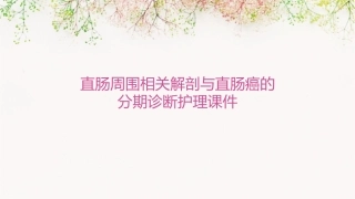 直肠周围相关解剖与直肠癌的分期诊断护理课件