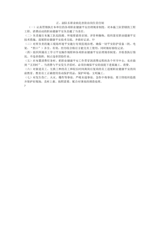 正、副ۥ队长职业病危害防治岗位责任制精选 