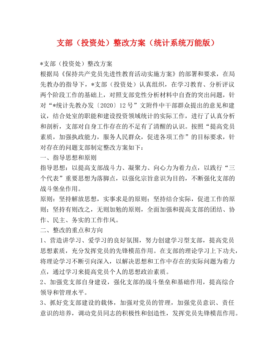 支部（投资处）整改方案（统计系统万能版） _第1页