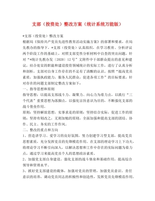 支部（投资处）整改方案（统计系统万能版） 