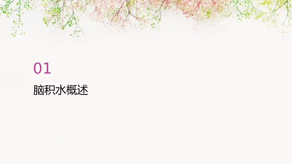 脑积水护理课件_第3页