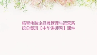 杨智伟装企品牌管理与运营系统总裁班【中华讲师网】课件