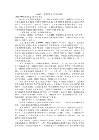 镇领导班子工作总结报告 