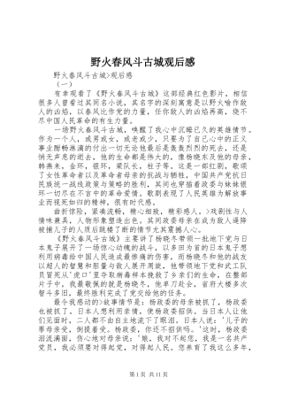 野火春风斗古城观后感