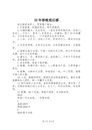 XX年春晚观后感