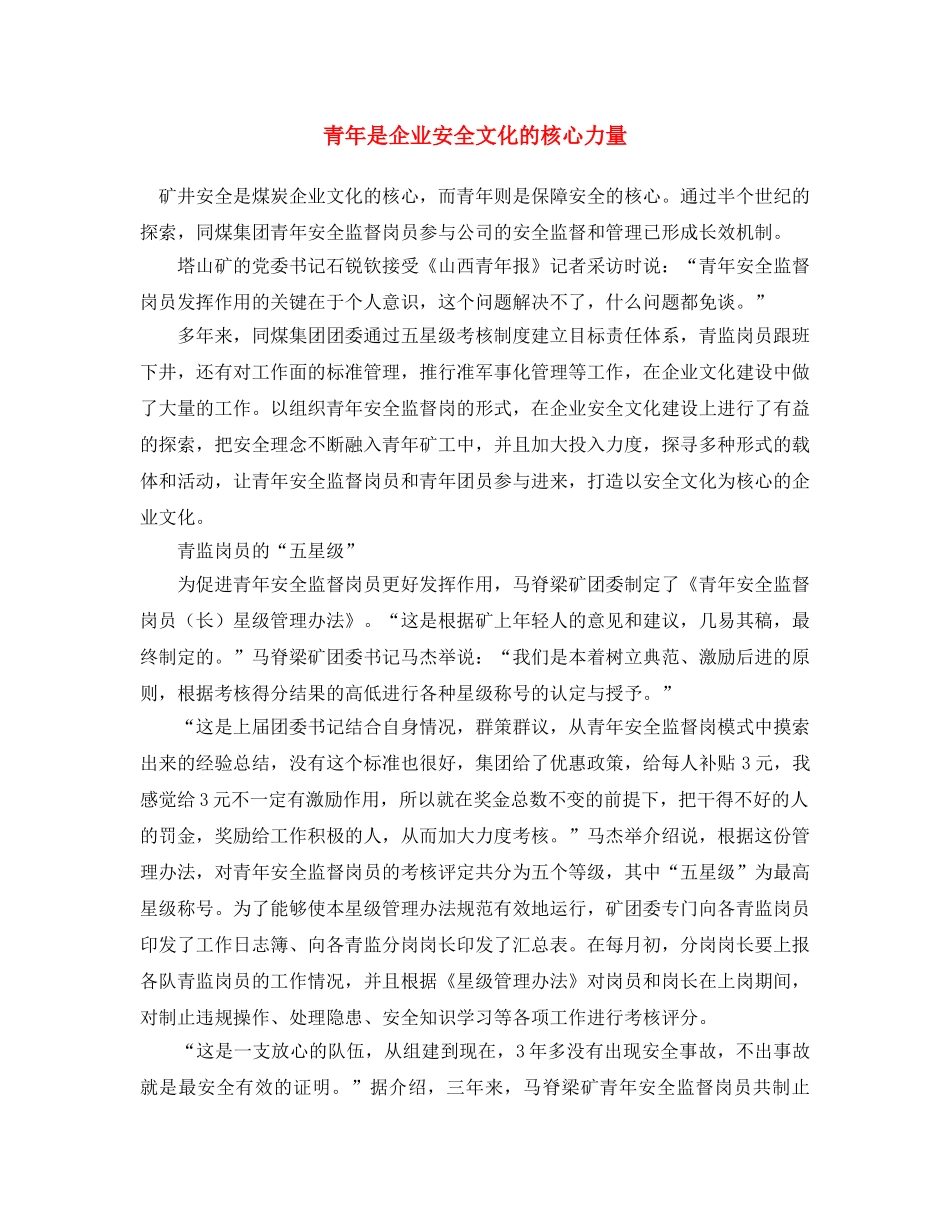 《安全文化》之青年是企业安全文化的核心力量 _第1页