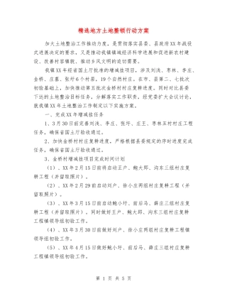 地方土地整顿行动方案