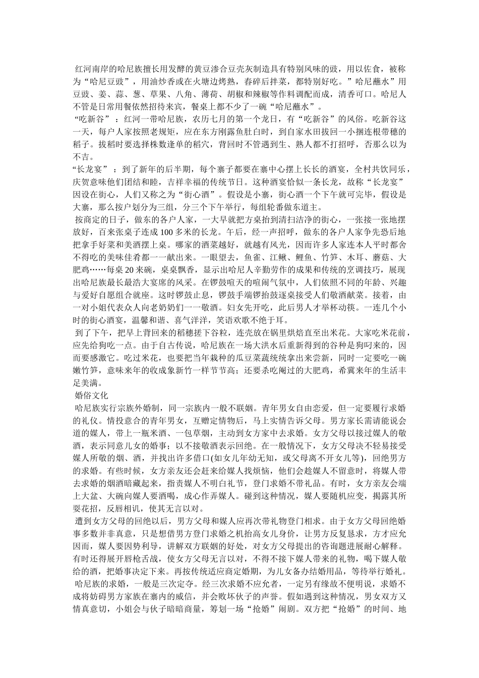 云南山谷名族文化 _第3页