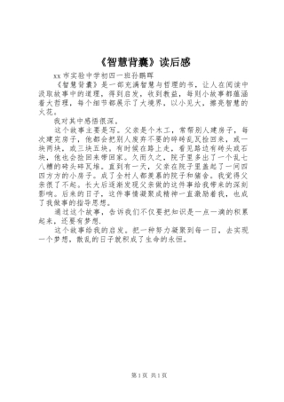 《智慧背囊》读后感