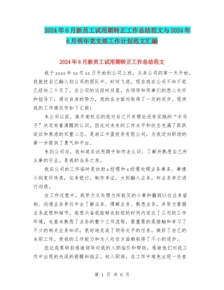 2024年6月新员工试用期转正工作总结范文与2024年6月明年党支部工作计划范文汇编