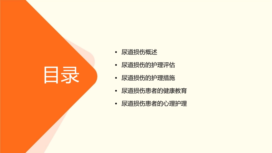 尿道损伤护理课件_第2页