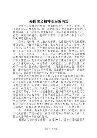 爰国主义精神观后感两篇