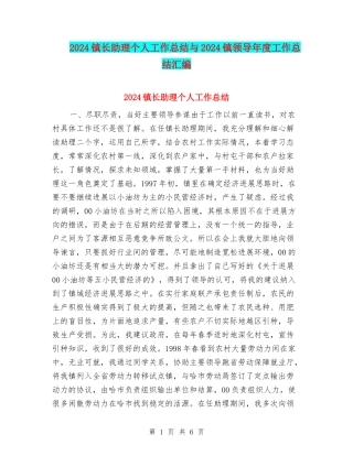 2024镇长助理个人工作总结与2024镇领导年度工作总结汇编