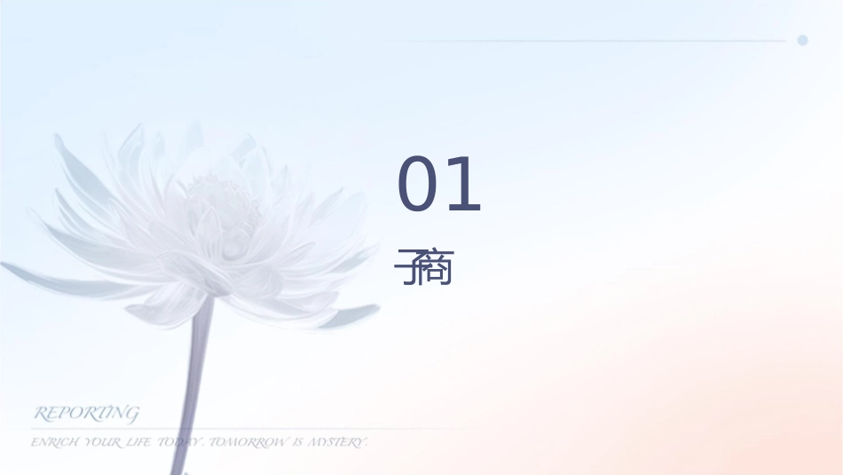 电子商务详细概述课件_第3页